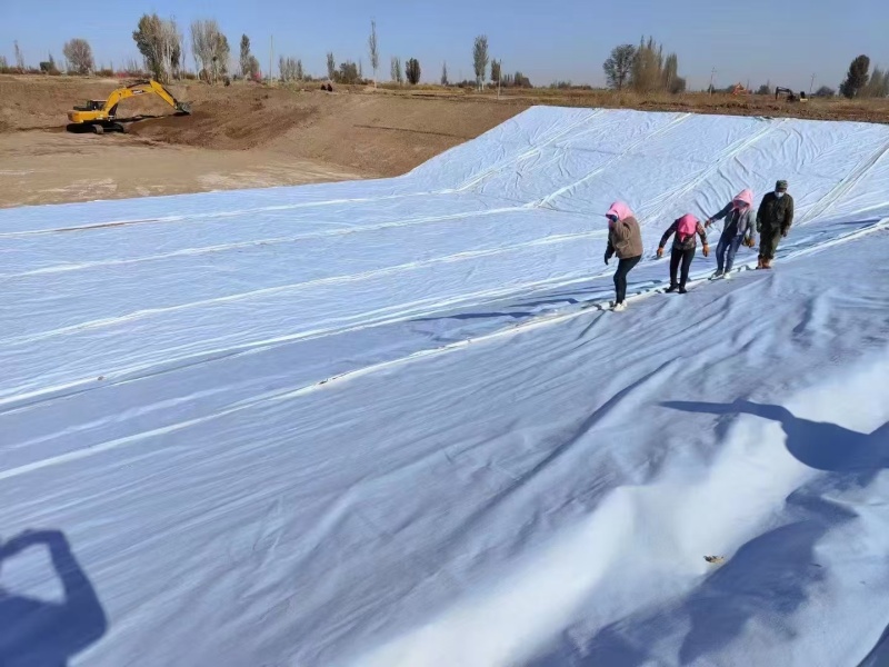 Proyek Bendungan Tailing di Zambia