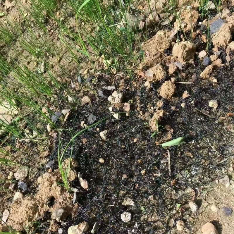 Synthetic Polymer Erosion Control Blanket (Geomat ECB)