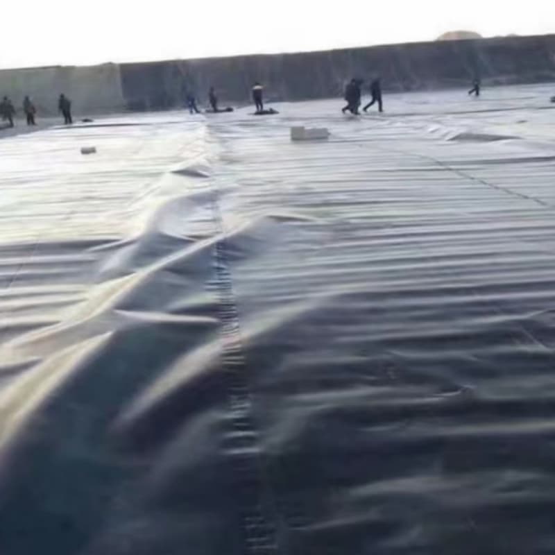 geomembrane kolam ikan